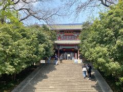 -灵谷景区