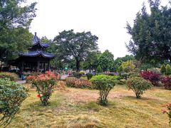 -飞来湖湿地公园