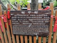 -涂山风景区