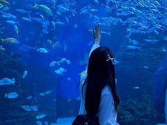 -海合安成都极地海洋公园