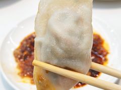 茴香猪肉水饺-枫林饺子