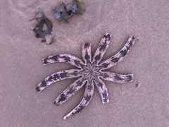 -三亚海棠湾万丽度假酒店