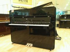 -柏斯音乐艺术中心·钢琴·吉他(世纪金源店)