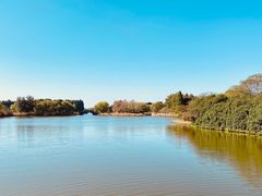 -苏州太湖国家湿地公园