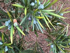 -白塘生态植物园