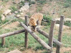 -大连森林动物园