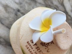-三亚亚龙湾瑞吉酒店·宴悦Driftwood·游水海鲜·牛排·草坪·私人定制