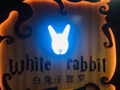 -白兔子密室(长寿路店)