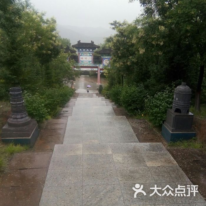 娄烦森林公园