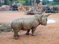 -石家庄市动物园