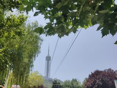 -富斯特索道