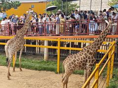 -西霞口神雕山野生动物世界