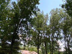 -国家植物园南园