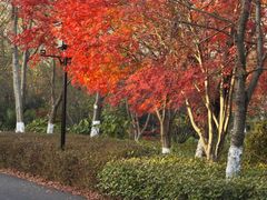-茅山东方盐湖城景区