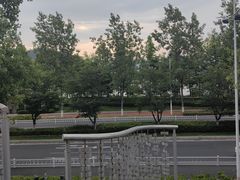 -宝荣鱼馆·临湖之宴(千岛湖店)