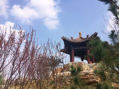 -迎泽公园