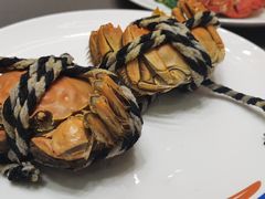 -张江海科雅乐轩聚聚乐