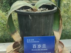 -国家植物园南园