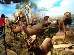 -陕西自然博物馆