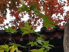 -大觉寺-停车场