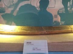 -陕西自然博物馆