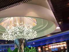 大堂-润园四季椰子鸡火锅(海上世界店)