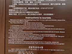 -大屏嶂森林公园