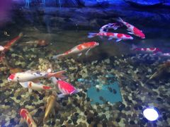 -青岛海底世界-水族馆