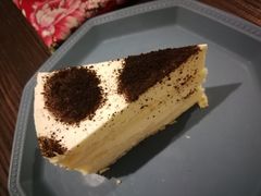 -有猫主题·治愈系猫咖(曾厝垵店)