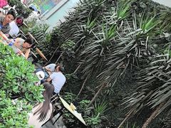 -钟方模白家肥肠粉(春熙店)