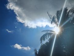 -日月永和中国餐饮名店(凤凰店)