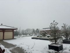 -洛阳古墓博物馆