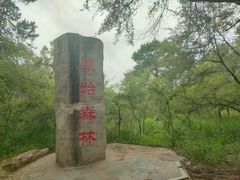 -大青沟风景区