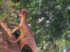 -自贡恐龙博物馆