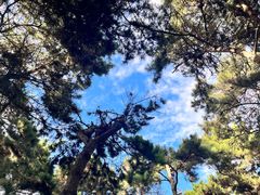 -长春市南湖公园