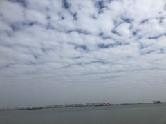 -大湾区中央湿地公园-十九涌