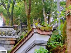 -老君山