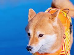 -马家湾湿地公园