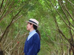-风云岭森林公园