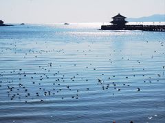-栈桥景区