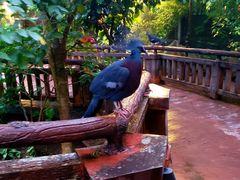 -清迈夜间动物园