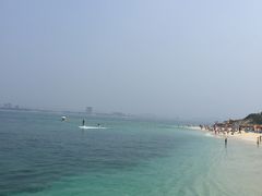 -小海豚国际游泳培训中心(浦东源深体育中心店)
