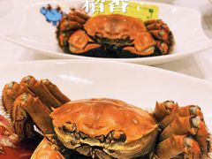 -稻香酒家·34年老字号·港式粤菜(侨光店)