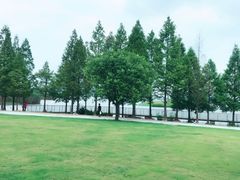 -青岛海尔洲际酒店