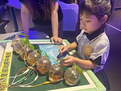 -中国宋庆龄青少年科技文化交流中心