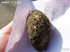 麻糍-叶氏麻糍(鼓浪屿店)