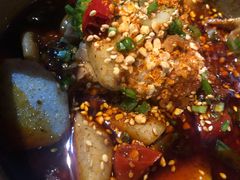 芋儿肥肠-锦尚阁烤鱼(望京新荟城店)