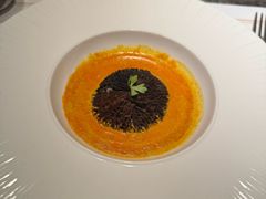 -觀芷隐轩