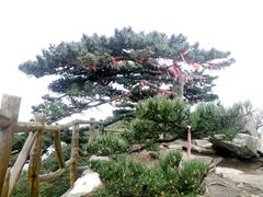 -罗田薄刀峰风景区