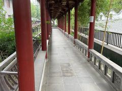 -龙潭水乡